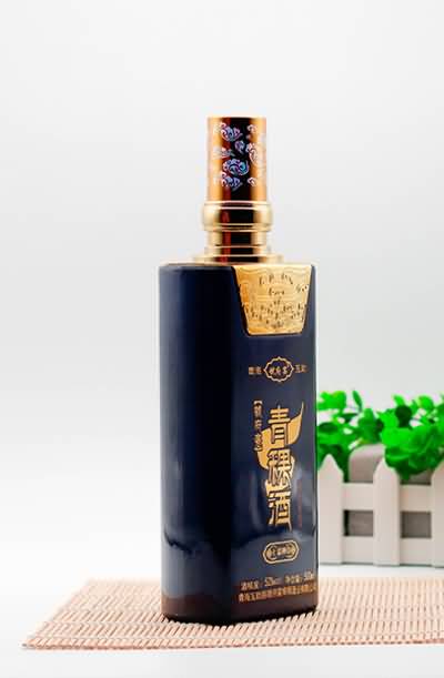喷涂瓶-505  